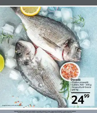 Selgros Doradă Ofertă