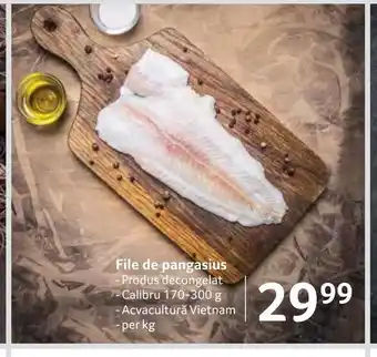 File de pangasius