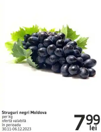 Supeco Struguri negri Moldova Ofertă