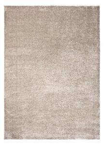 Favi Covor gri/bej 160x230 cm – universal Ofertă