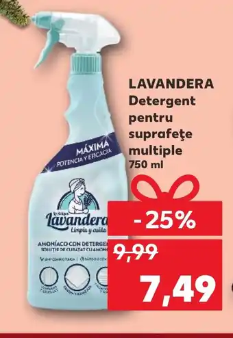 LAVANDERA Detergent pentru suprafeţe