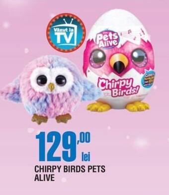 Cora CHIRPY BIRDS PETS ALIVE Ofertă