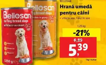 Lidl Hrană umedă pentru câini Ofertă