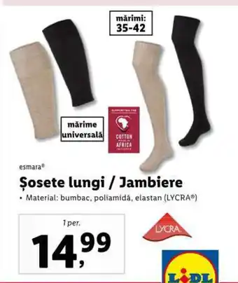 Lidl Șosete lungi / Jambiere Ofertă