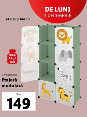 Lidl Etajeră modulară Ofertă