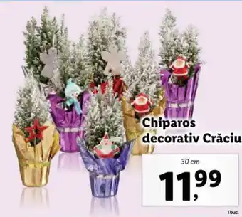 Lidl Chiparos decorativ Crăciun Ofertă