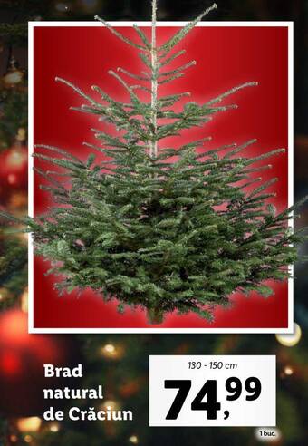 Lidl Brad natural de Crăciun Ofertă