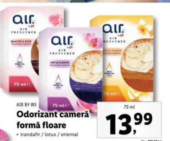 Lidl Odorizant cameră formă floare Ofertă