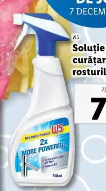 Lidl Soluție pentru curățarea rosturilor Ofertă