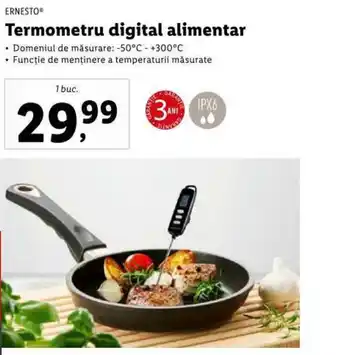 Lidl Termometru digital alimentar Ofertă