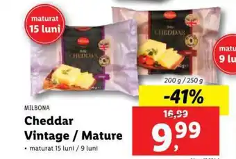Lidl Cheddar Vintage / Mature Ofertă