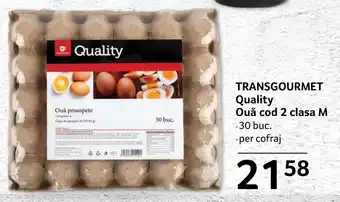 TRANSGOURMET Quality Ouă cod 2 clasa M