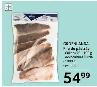 GROENLANDA File de păstrăv