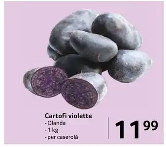 Selgros Cartofi violette Ofertă