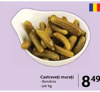 Selgros Castraveţi murați - România Ofertă