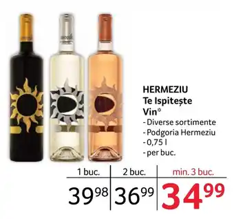 Selgros HERMEZIU Te Ispiteşte Vin* Ofertă