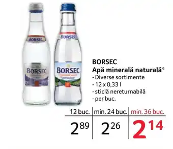 Selgros BORSEC Apă minerală naturală* Ofertă
