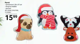 Selgros Pernă Ofertă