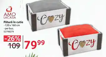 Selgros Pătură în cutie Ofertă