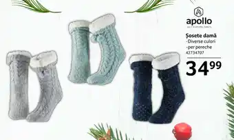 Selgros Șosete damă Ofertă