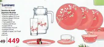 Selgros Serviciu de masă Japanese 46 piese Ofertă
