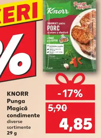 KNORR Punga Magică condimente