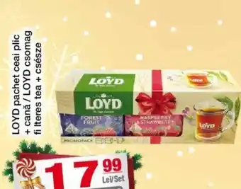 LOYD pachet ceai plic + cană /LOYD csomag fi Iteres tea + csésze