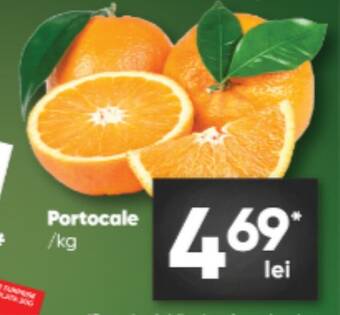 PROFI Portocale /kg Ofertă