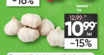 PROFI Usturoi /kg Ofertă