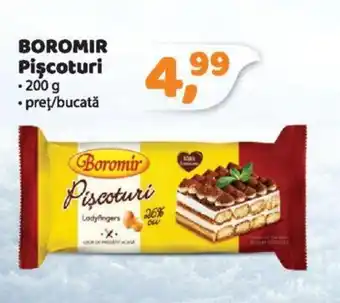 BOROMIR Pişcoturi