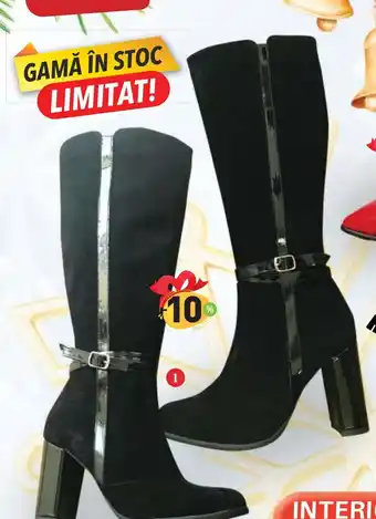 CIZME 18102