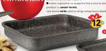 TAVĂ CUPTOR