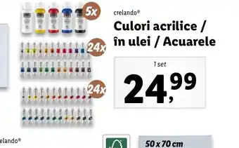 Lidl Culori acrilice / în ulei / Acuarele Ofertă