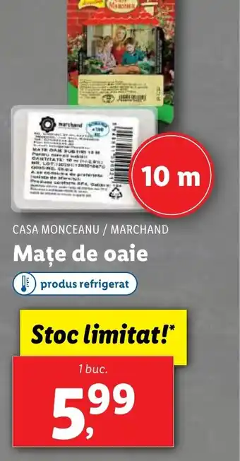 Maţe de oaie