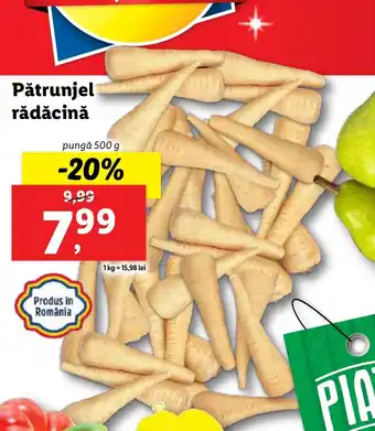 Lidl Pătrunjel rădăcină Ofertă
