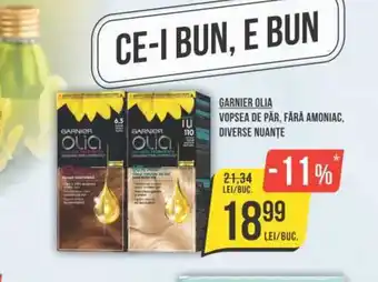 Mega Image GARNIER OLIA VOPSEA DE PÄR, FĂRĂ AMONIAC, DIVERSE NUANŢE Ofertă