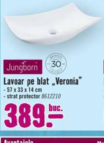 Hornbach Lavoar pe blat,Veronia Ofertă