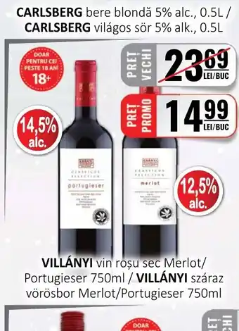CBA VILLÁNYI vin roşu sec Merlot Ofertă