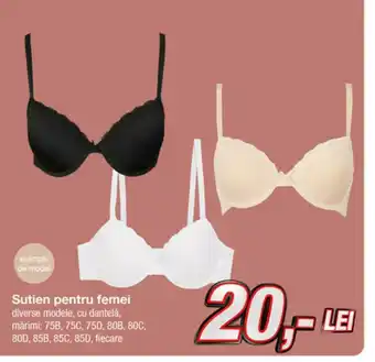 Kik Sutien pentru femei Ofertă