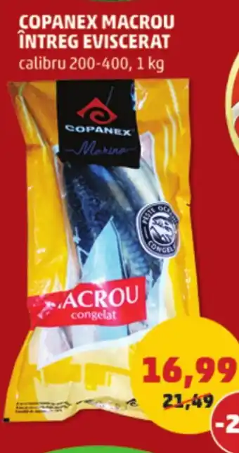 Penny COPANEX MACROU ÎNTREG EVISCERAT Ofertă