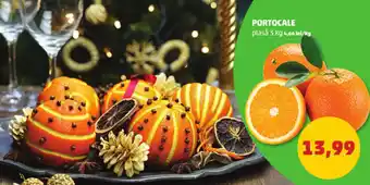 Penny PORTOCALE Ofertă