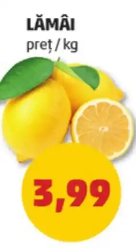 Penny LĂMÂI Ofertă
