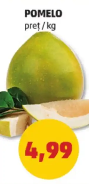 Penny POMELO Ofertă