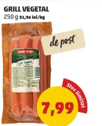 Penny GRILL VEGETAL Ofertă
