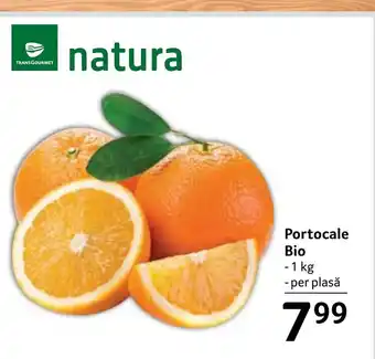 Selgros Portocale Bio Ofertă