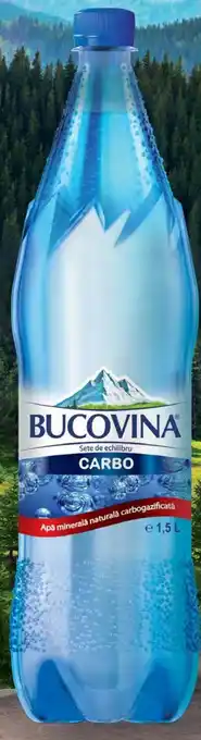 Selgros BUCOVINA Apă minerală naturală carbogazoasă Ofertă