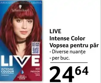 Selgros LIVE Intense Color Vopsea pentru păr Ofertă