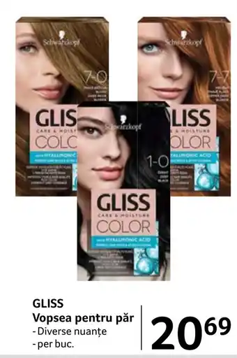 Selgros GLISS Vopsea pentru păr Ofertă