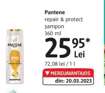 DM Pantene Ofertă