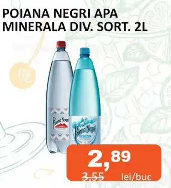 POIANA NEGRI APA MINERALA DIV. SORT. 2L